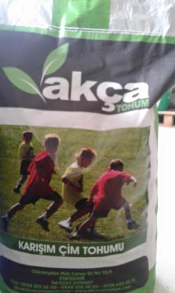 Akca Çim Tohum