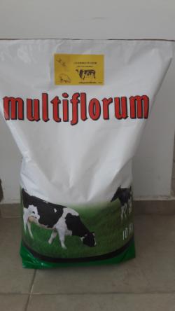 Akca Çim Tohum